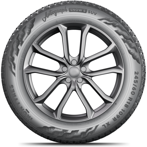 Легковая шина Ikon (Nokian Tyres) Autograph Snow 5 SUV 255/55 R20 110R