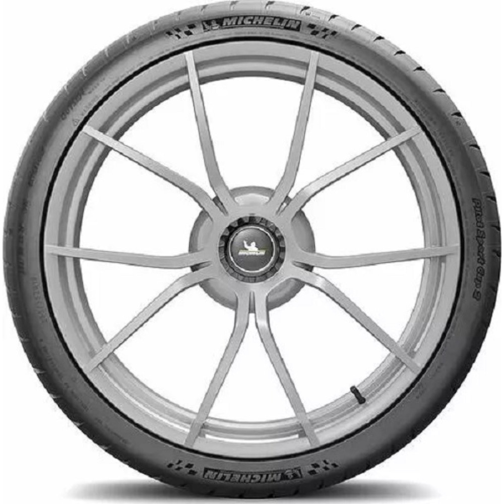 Легковая шина Michelin Pilot Sport Cup 2R 285/35 R19 103Y