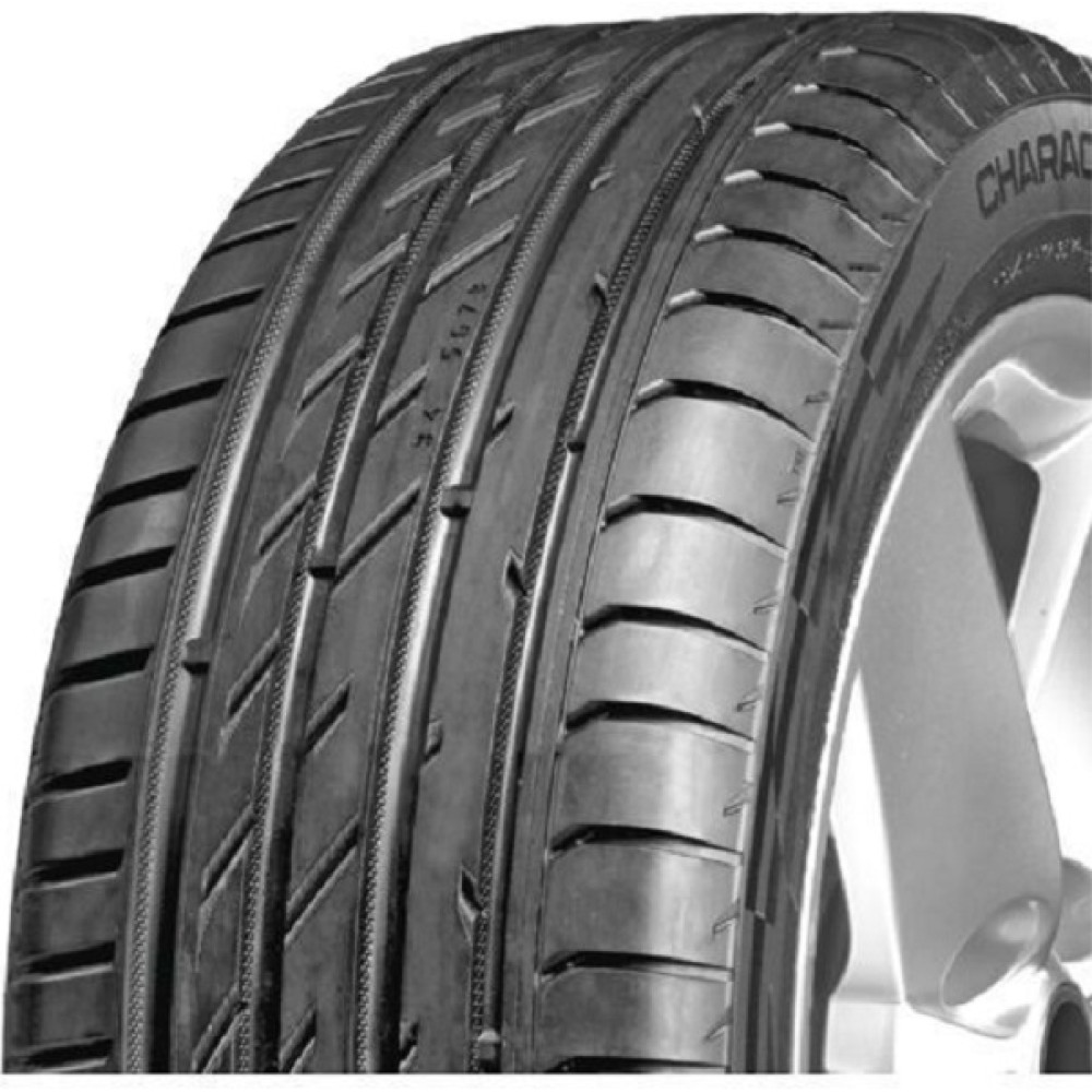 Легковая шина Ikon (Nokian Tyres) Character Ultra (Nordman SZ2) 225/45 R18 95W