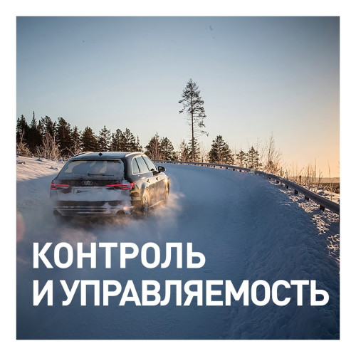 Легковая шина Bridgestone Blizzak DMV3 225/55 R18 98T